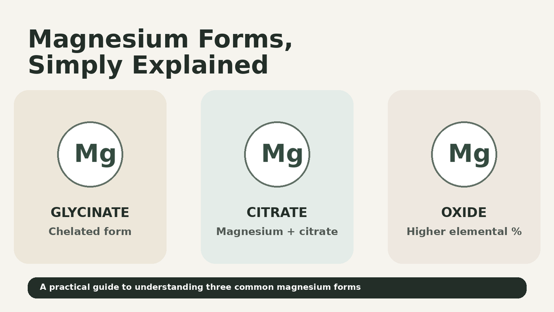 Magnesium glycinate vs citrate vs oxide comparison graphic