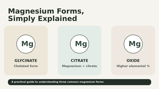 Magnesium glycinate vs citrate vs oxide comparison graphic
