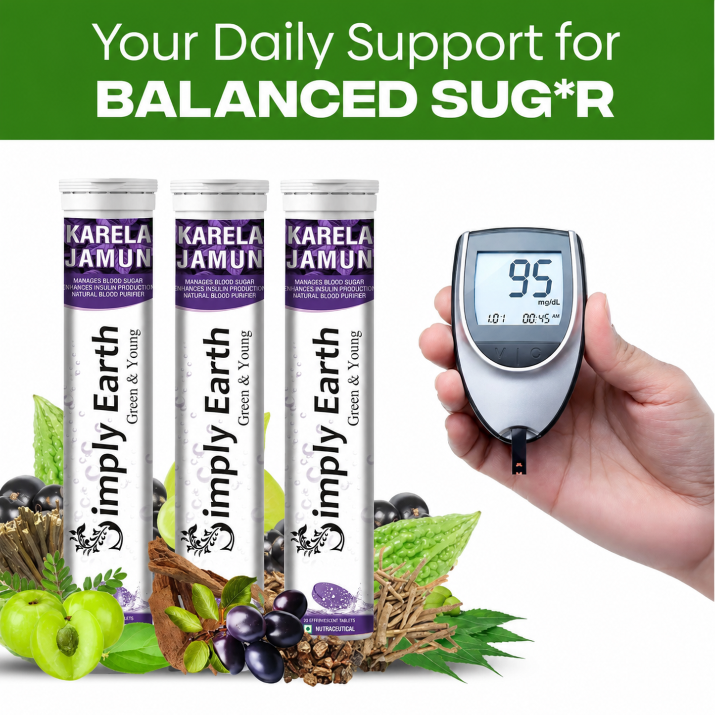 Karela Jamun Fizz Made with 11 traditional herbs to help maintain healthy blood sugar and keep you energized all day.
