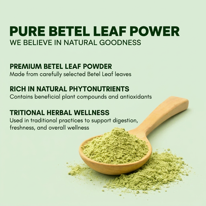 Simply Earth Organic Betel Leaf Powder | Paan Leaf Powder | Vetrilai | Banarasi Paan Powder - 100 GM