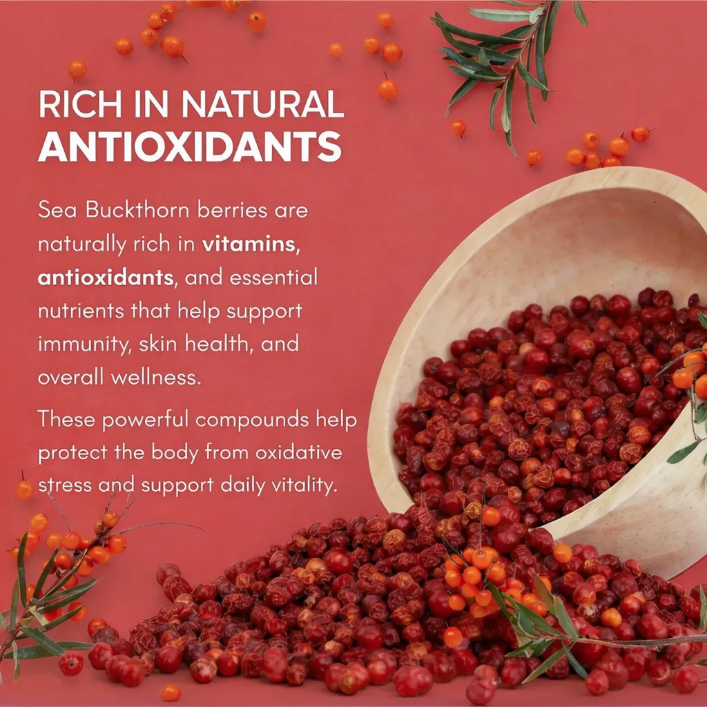 Simply Earth Sea Buckthorn Berries | 100% Natural & Non-GMO | Rich in Vitamin C, Omega 7 & Antioxidants | Boosts Immunity, Skin Glow & Hair Health | No Artificial Flavours - 60g